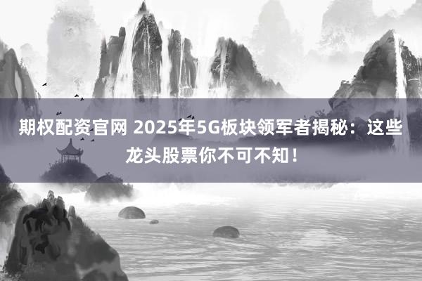 期权配资官网 2025年5G板块领军者揭秘：这些龙头股票你不可不知！