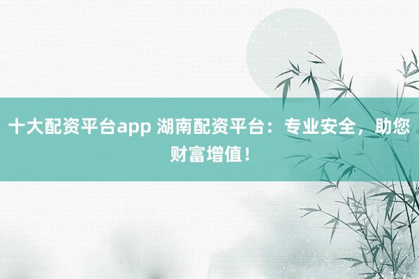 十大配资平台app 湖南配资平台：专业安全，助您财富增值！