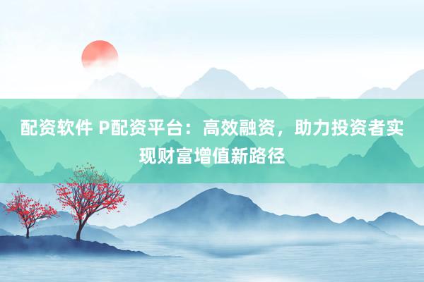 配资软件 P配资平台：高效融资，助力投资者实现财富增值新路径