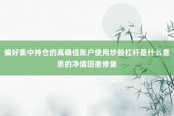 偏好集中持仓的高确信账户使用炒股杠杆是什么意思的净值回撤修复