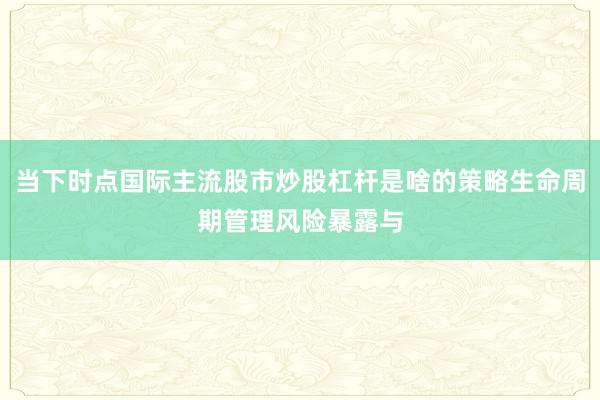 当下时点国际主流股市炒股杠杆是啥的策略生命周期管理风险暴露与