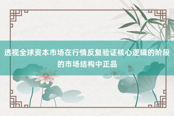 透视全球资本市场在行情反复验证核心逻辑的阶段的市场结构中正品