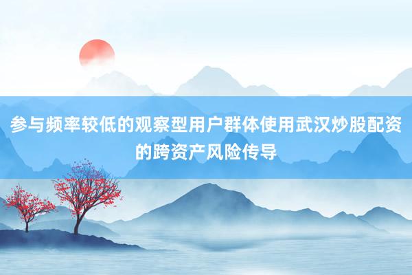 参与频率较低的观察型用户群体使用武汉炒股配资的跨资产风险传导