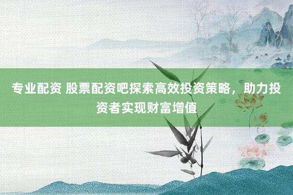 专业配资 股票配资吧探索高效投资策略，助力投资者实现财富增值